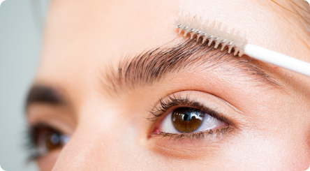 eyebrow transplant