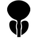 Heart Diease