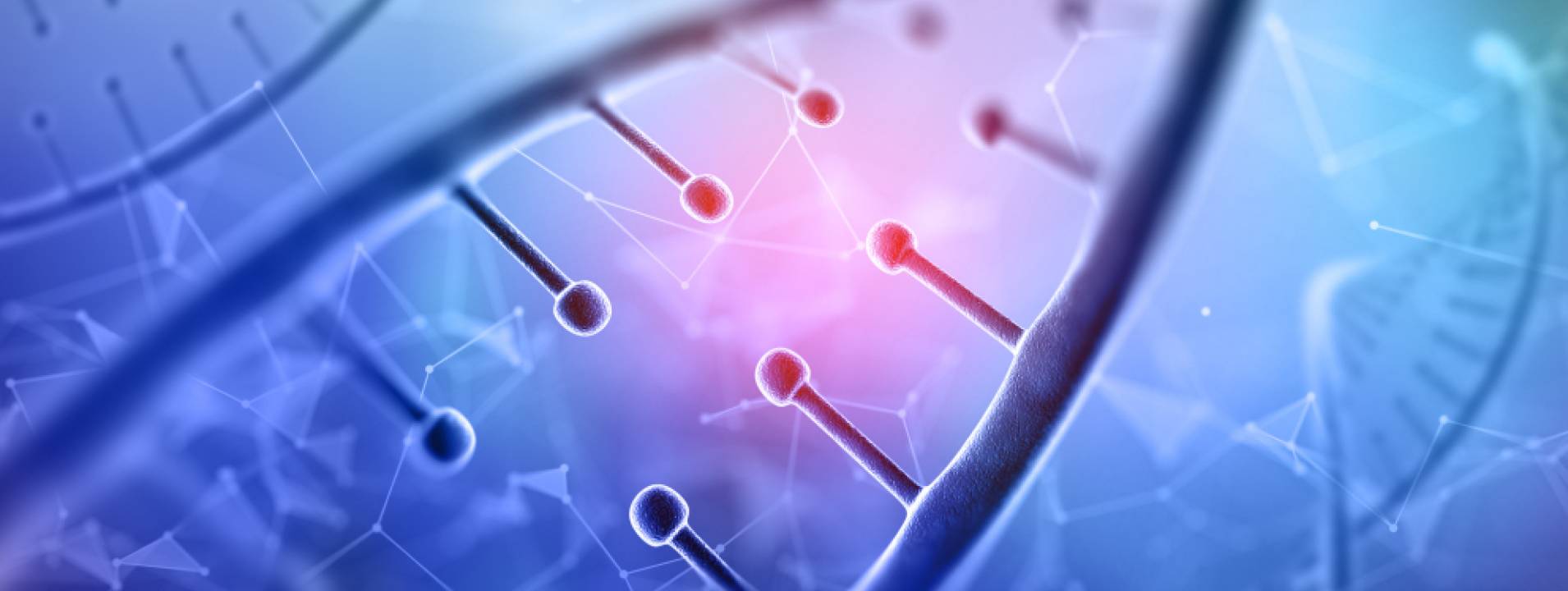 HD-PRP Therapy